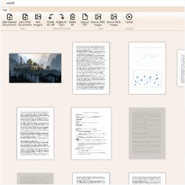 Screenshot of the PDF-splitting