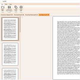 Screenshot von der PDF-Datei Trennung